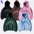 High Quality DIY Custom 3D Puff Printing logo Pullover 100% Cotton Plain DTG Print Men's Sweatshirt Hoodies Cropped Hoodie Men